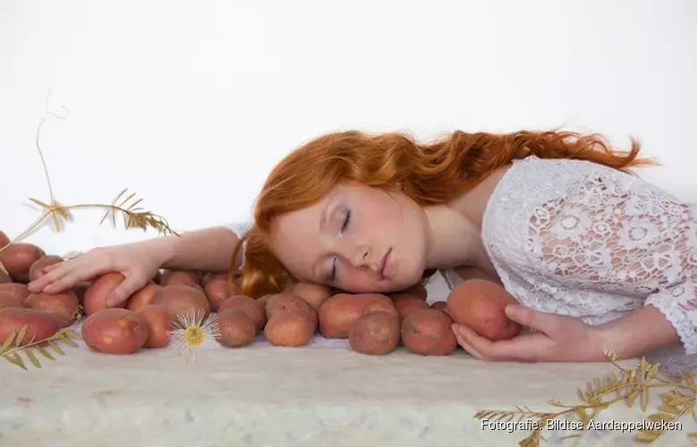 "Fruchtbere grônd / Fertile Soil "; Bildtse Aardappelweken