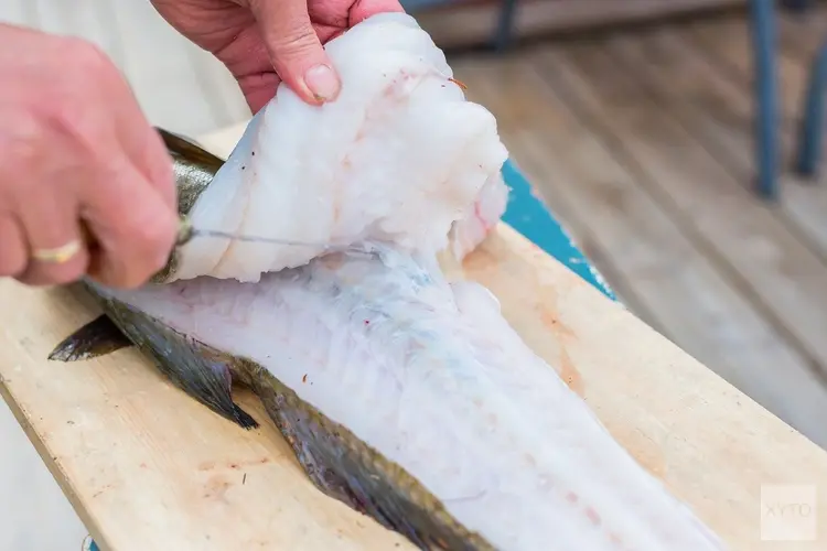 Verse vis uit de Noordzee wordt duur betaald