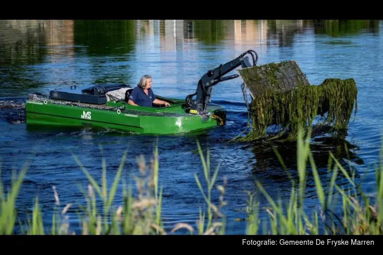 Wateronderhoud vijvers en watergangen