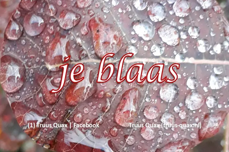 Je blaas